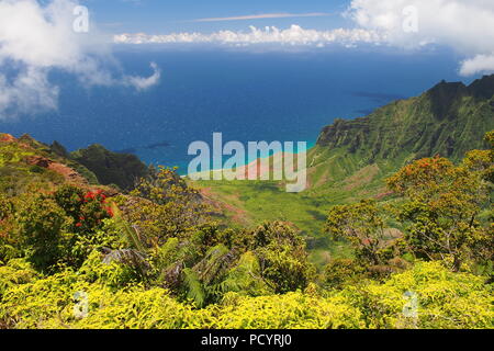 Pu'u O Kila Lookout, Kauai, Hawaii Banque D'Images