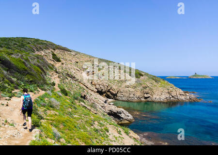 Sentier des douaniers, sentier de randonnée, Cap Corse, Corse, France Banque D'Images