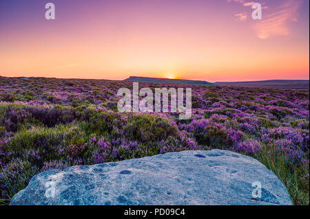 Coucher de soleil sur le Derbyshire lande de bruyère. Banque D'Images