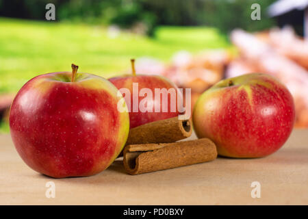 Groupe de trois entiers et frais, pomme rouge james grieve variété avec des bâtons de cannelle avec la nature en arrière plan Banque D'Images