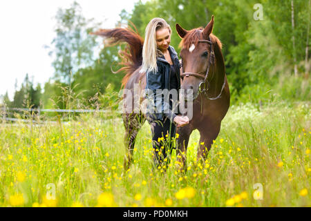 Happy woman nourrir son cheval arabe avec des collations dans le domaine Banque D'Images