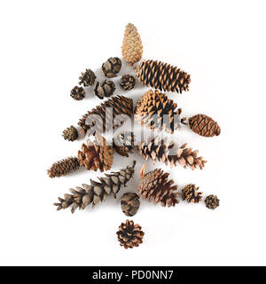 Sapin fait de cônes divers conifères isolé sur blanc, vue de dessus. Copie gratuite de l'espace. Banque D'Images