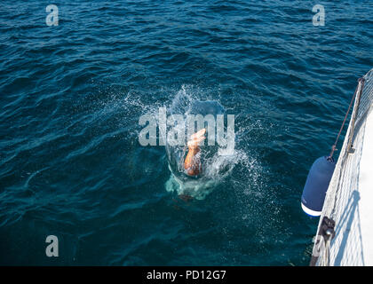 Trieste, Italie, le 4 août 2018. Un homme plonge dans l'eau d'un voilier dans la mer Adriatique, près de Trieste. Photo par Enrique Shore Banque D'Images