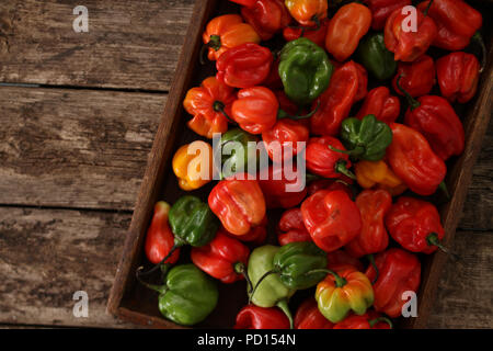 Les piments scotch bonnet variété Banque D'Images