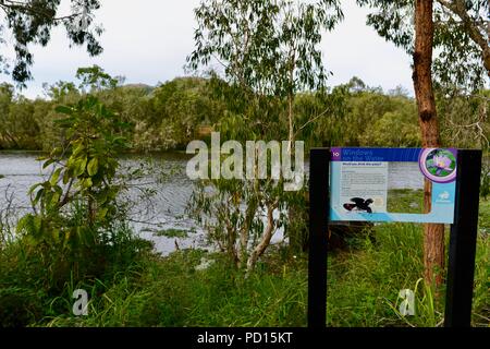Fenêtres sur le signe d'eau, sentier de marche sur le Booroona Ross River, Rasmussen, 4815 Queensland Australie Banque D'Images