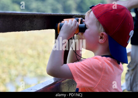 Tinicum Township, Michigan, USA. Le 5 août 2018. Dimanche après-midi d'été à la John Heinz National Wildlife Refuge at Tinicum Township, Michigan, le 5 août 2018. Credit : PhotograPHL/Alamy Live News Banque D'Images