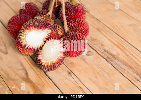 Le pulasan, Nephelium mutabile Blume (famille des Sapindaceae), est un fruit tropical étroitement allié à la ramboutan et parfois confondu avec elle sur woode Banque D'Images