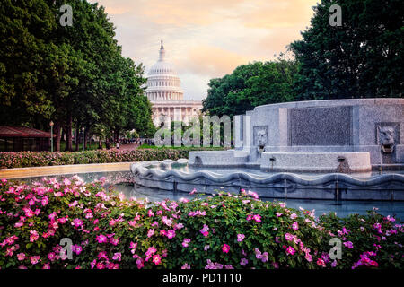 Le bâtiment du Capitole, qui abrite le Sénat et la Chambre des représentants des États-Unis sur le National Mall, Washington DC. Banque D'Images