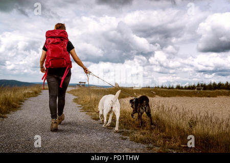 Jeune femme marche avec 2 chiens sur un sentier de randonnée en montagne randonnée avec un ciel dramatique - labrador retriever et le berger allemand Banque D'Images