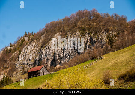 Cottage traditionnel sur une colline en Transylvanie, Roumanie Banque D'Images