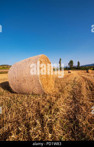 La récolte de foin sous caution dans golden field landscape Banque D'Images