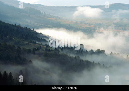 Vue panoramique sur les forêts de montagne couvrant de brouillard Banque D'Images