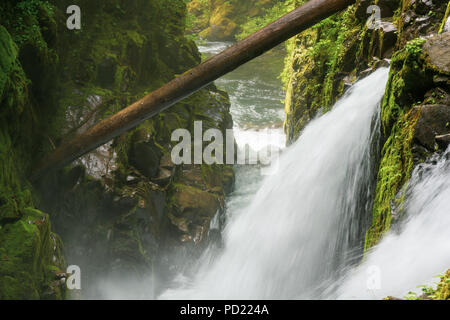 Sol Duc Falls dans le Sol Duc Forest, Olympic National Park, Port Angeles, Washington State, USA. Banque D'Images