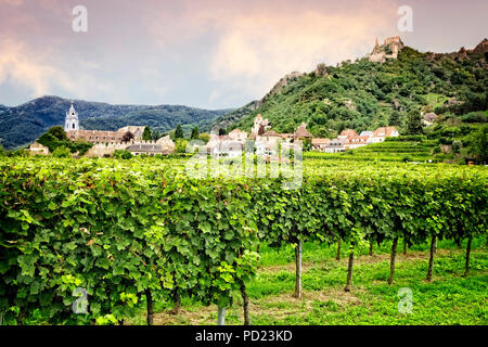 La ville historique de Durnstein et son vignoble le long du Danube en Autriche. Banque D'Images