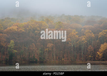 La couleur de l'automne et le brouillard à Peaks of Otter Lake, sur le Blue Ridge Parkway en Virginie Banque D'Images