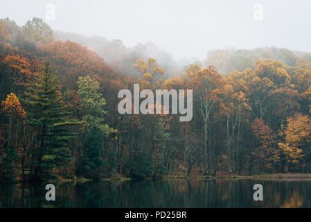 La couleur de l'automne et le brouillard à Peaks of Otter Lake, sur le Blue Ridge Parkway en Virginie Banque D'Images