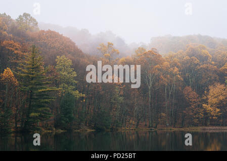 La couleur de l'automne et le brouillard à Peaks of Otter Lake, sur le Blue Ridge Parkway en Virginie Banque D'Images