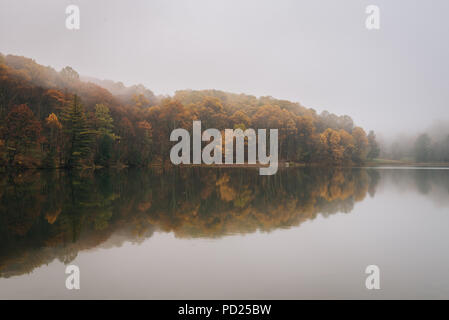 La couleur de l'automne et le brouillard à Peaks of Otter Lake, sur le Blue Ridge Parkway en Virginie Banque D'Images