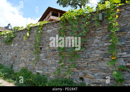 Kovatchevitca Village-Museum, montagne Rhodopes Banque D'Images