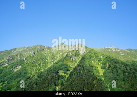 Avec les montagnes Kackar sont situés dans des paysages forestiers vert à Rize, Turquie Banque D'Images