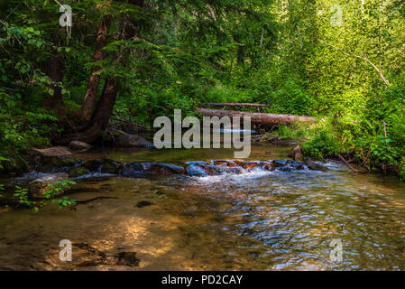 Cascades de Tacoma Creek dans la forêt nationale de Colville Banque D'Images