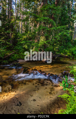 Cascades de Tacoma Creek dans la forêt nationale de Colville Banque D'Images