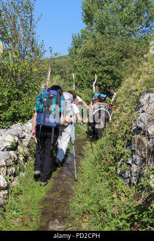 Randonnées à la chaîne des Pyrénées, au nord de l'Espagne, en allant vers la grande montagne transportant beaucoup de matériel de montagne pour l'escalade avec un âne Banque D'Images