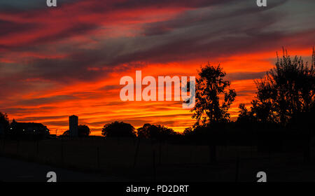 Silhouette d'arbres avant le coucher du soleil avec ciel rouge Banque D'Images