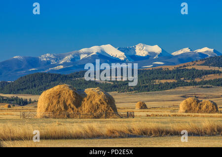 Les meules dans les champs ci-dessous sommets de la gamme silex Creek près de avon, Montana Banque D'Images