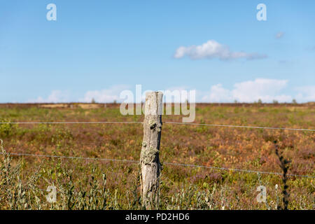 Paysage ; Laesoe, Danemark Banque D'Images