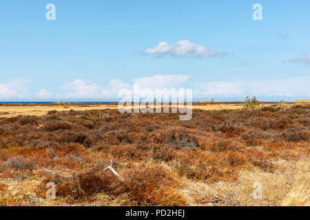 Paysage ; Laesoe, Danemark Banque D'Images