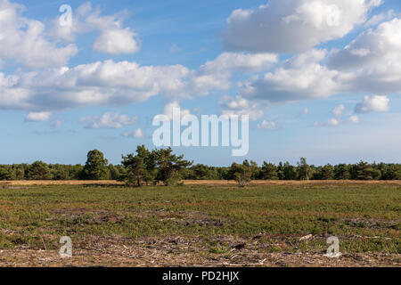 Paysage ; Laesoe, Danemark Banque D'Images