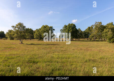 Paysage ; Laesoe, Danemark Banque D'Images