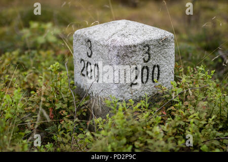 Pilier en pierre blanche situé en forêt. Marque de branches des forêts nécessaires à la navigation sur le terrain. Saison de l'été. Banque D'Images