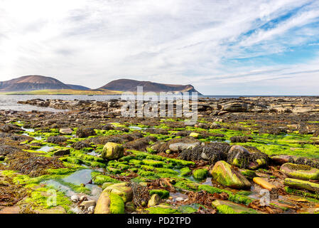 Une plage rocheuse près de Stromness Banque D'Images