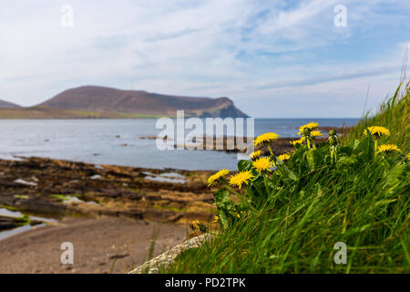 Une plage rocheuse près de Stromness Banque D'Images