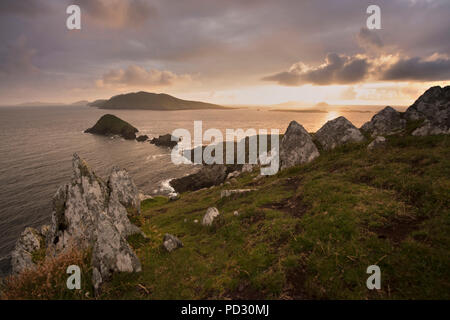 Dunmore Head et îles Blasket, Dingle, Kerry, Irlande Banque D'Images