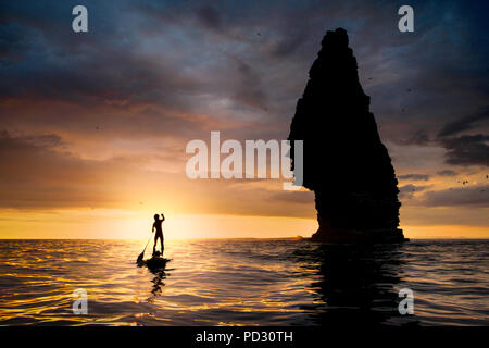 Paddle boarder sur l'eau au coucher du soleil, à côté de la pile de la mer, les Falaises de Moher, Doolin, Clare, Irlande Banque D'Images