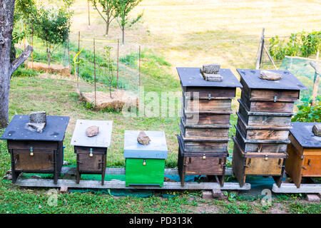 Old vintage ruches ruche rucher, origlio, Tessin, l'Italie, l'Europe, concept organique, abeilles, miel bio, vie saine, à l'extérieur Banque D'Images