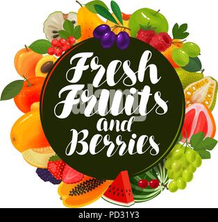 Les fruits frais. Nourriture naturelle, concept greengrocery Vector illustration Illustration de Vecteur