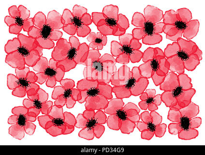 Coquelicots aquarelle numérique, isolé sur fond blanc Banque D'Images