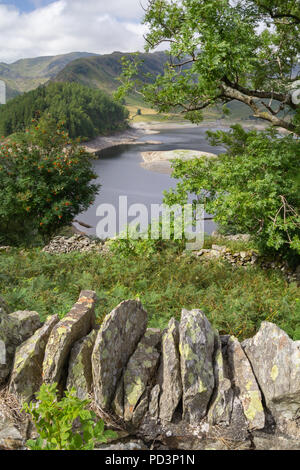 Au niveau de l'eau faible Haweswater révèle le reste de vert Mardale Banque D'Images