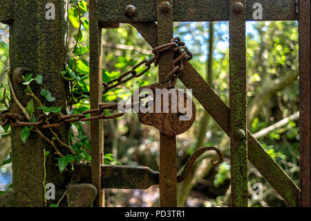 Un upof près des cadenas et des chaînes rouillées sur une vieille porte de fer, Banque D'Images
