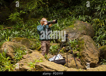 Photographe de la faune de prendre des photos dans la forêt tropicale près de Burbayar lodge, à El Llano, République du Panama. Banque D'Images