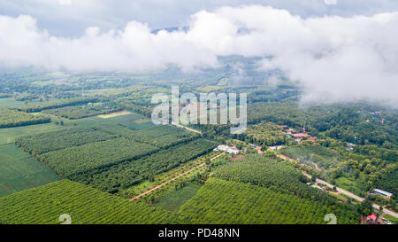 Photo aérienne de drone : domaine de l'agriculture dans la province de Kanchanaburi, Thaïlande Banque D'Images