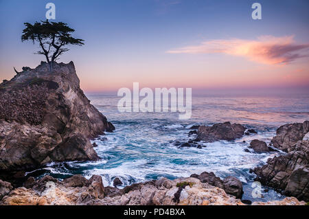 Carmel's 17 Mile Drive Banque D'Images