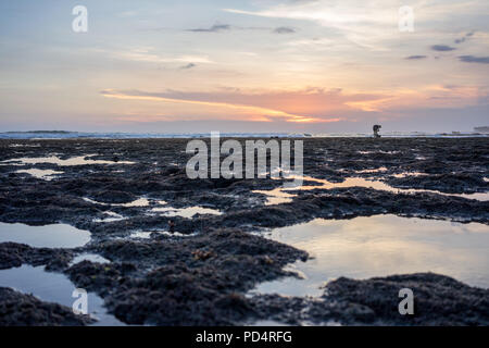 Low angle view d'algues et d'eau, Bali Indonésie Banque D'Images