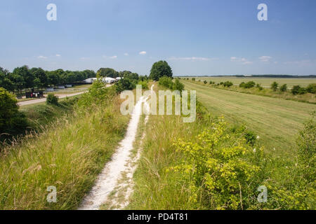 Avis de Devil's Dyke dans le Cambridgeshire, près de Newmarket racecourse Banque D'Images