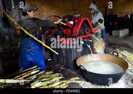 Décisions Guarapo- jus de canne dans Huachumo - El Carmen DE LA FRONTERA - Equateur - frontière Huancabamba. .Département de Piura au Pérou Banque D'Images