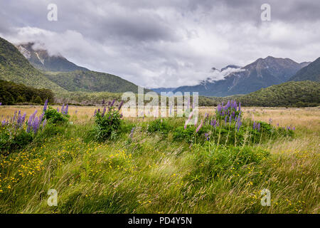 Le Parc National de Fiordland, Nouvelle-Zélande Banque D'Images